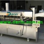 Continuous Fryer For Potato Chips