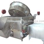 Stainless steel eletric oil free deep fryer