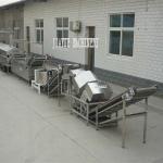 food frying line