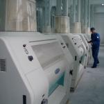 flourmilling plant 600t