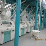 Maize flour mill