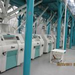 wheat flour milling machine for export