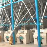 flavor corn flour mill