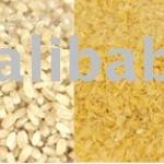 nuritional rice processing machine