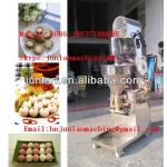 meatball former machine for food processing