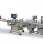 Food Processing Machine