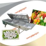 Cooking Machine|blanching machine|Meat ball Cooking Machine|Vegetable blanching machine