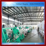 Hot Sale Rice/Grain Color Sorter Machine (0086 15981911701)