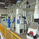 High Effective Complete Set Rice Milling Equipment