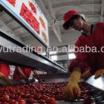 tomato paste making machine