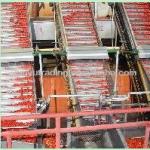 tomato paste processing machine