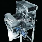 CE Automatic 2 head salt packing machine
