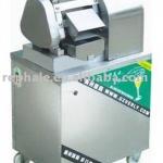 sugarcane juice extractor