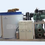 ZF20T Flake Ice Machine for Commercial Use