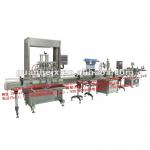 Liquid filling processing line