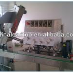 LTCG-160 Automatic Linear Style High Speed Capping Machine