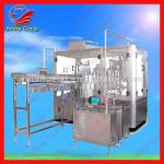 2013 Hot Sell Stand Up Capped Spout Filling Machine ( 0086-13721419972)