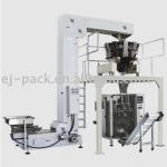 250mm width bag dried fruit packing machine EJ-250