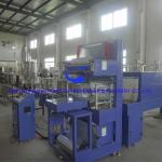 4000BPH fruit juice production line