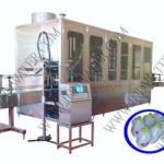 Linear type 5-10 Liter Bottle Mineral Water Filling Machine