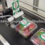 Fully Automatic Top Labeling Applicator Machine for Carton Box and Square Bottle