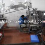 Automatic Meat ball chain bucket elevator packing machine SLIV-520