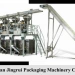 cashew automatic packaging machinery JR 420A