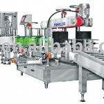 10KGS - 50KGS Weighing Production Line