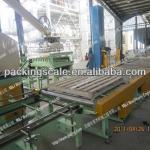 automatic granule packing machine