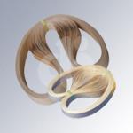 PTFE Seamless Sealing Belts