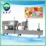 2013 new china hot sale plastic k cup sealing machine