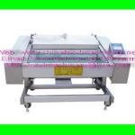 DZ1000 Vacuum packing machine