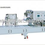 Automatic Vacuum Packaging Machine