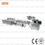 Pillow type chocolate packing machine