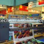 ZY-SK2500 digital large format solvent outdoor printer