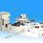 Automatic Precision Roll To Roll handing Silk-screen Printing Machinery
