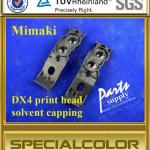 Print Head Solvent Capping