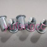 4mm carbon steel round body rivet nut fasteners white zinc plating made in China