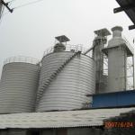 China Gypsum Line