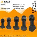 excavator undercarriage parts,grade 8.8-12.9 Track bolt and nut/