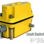 DXZ limit switch