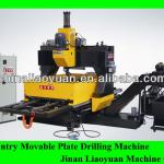 High Speed CNC Gantry Movable Plate Drilling Machine For Steel Structure DPD-1610/2012/3016