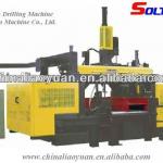 Drilling Machine/CNC 3-D Beam Drilling Machine TDD100/125