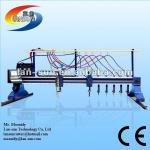 Gantry strip cutting machine