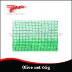 olive net