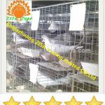 12 cells galvanized pigeons cage