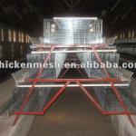 hot sales A type chicken cage for chicken farm