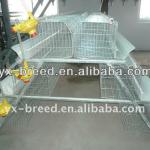 Africa/Nigeria farm Poultry equipment for layer chickens