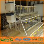 High quality chicken cage for poultry farm