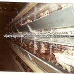 Poultry Cages